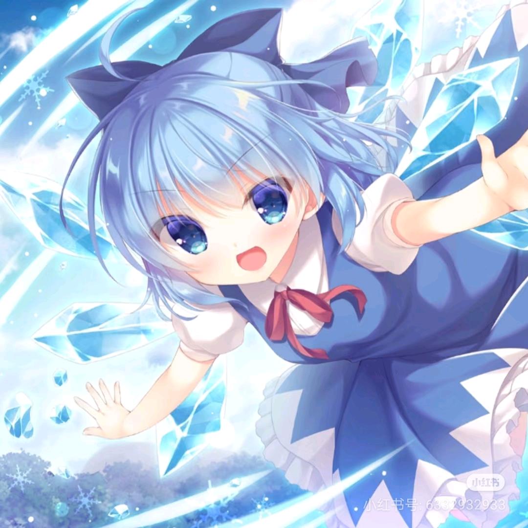 最强⑨