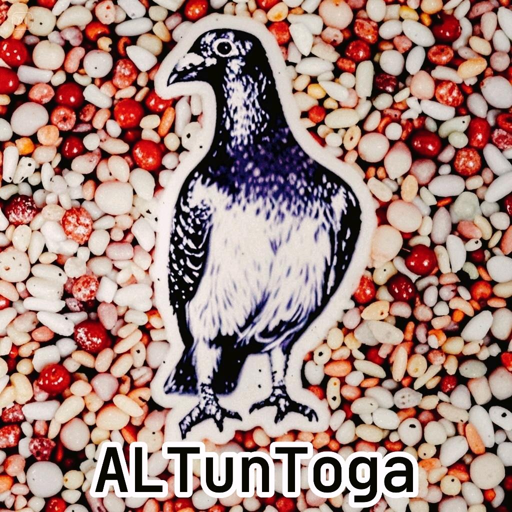 ALTunToga新疆蓝鸽宠物用品店