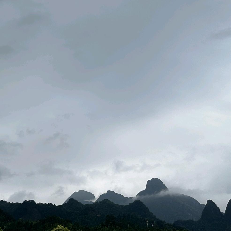 育发记农小弟