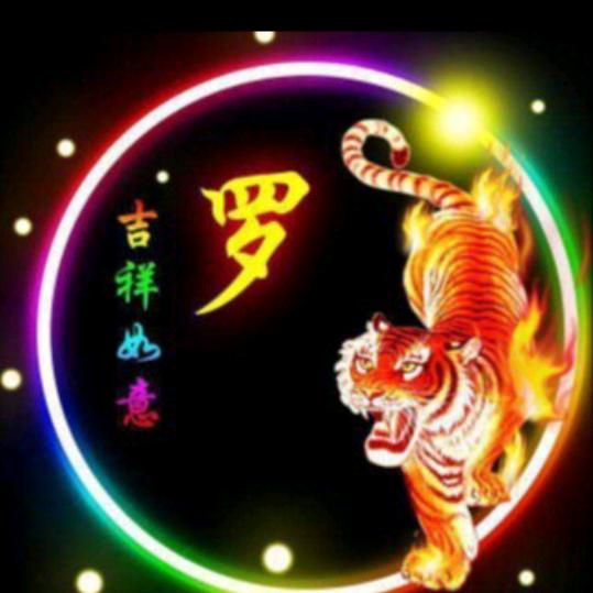 《千变罗哥》飞虎队