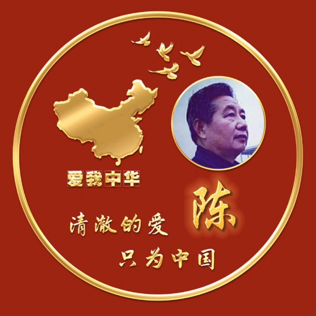 陈顶全