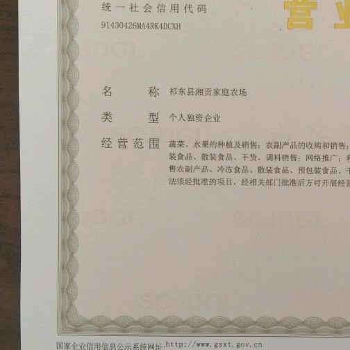 永昌蔬菜砖塘镇！