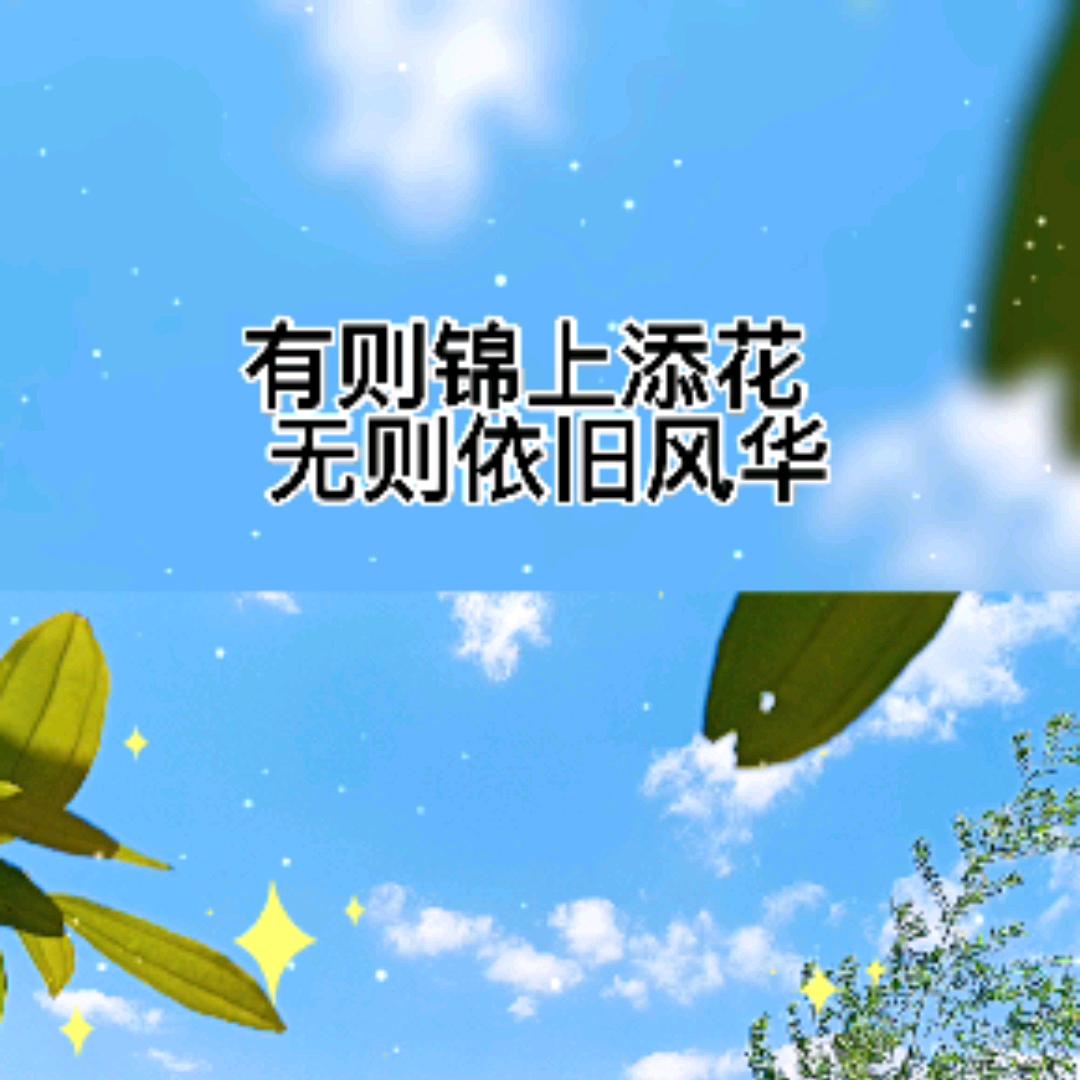 风华依旧