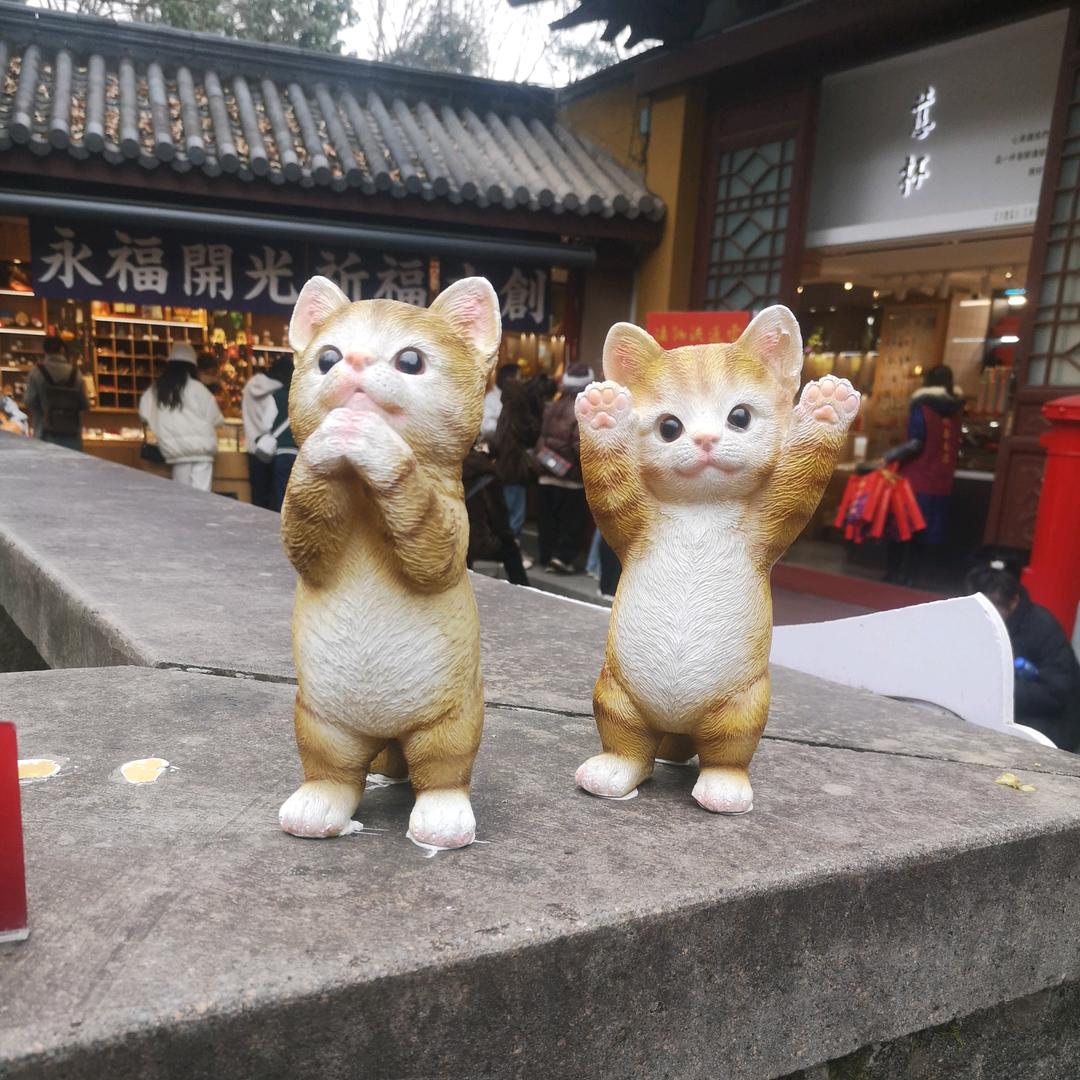 丫丫的丫