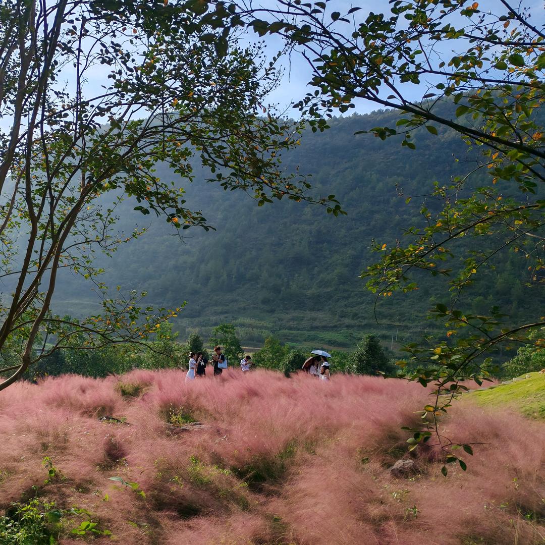 西商农商城A小芳