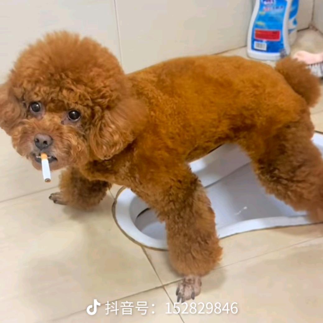 爱以下线