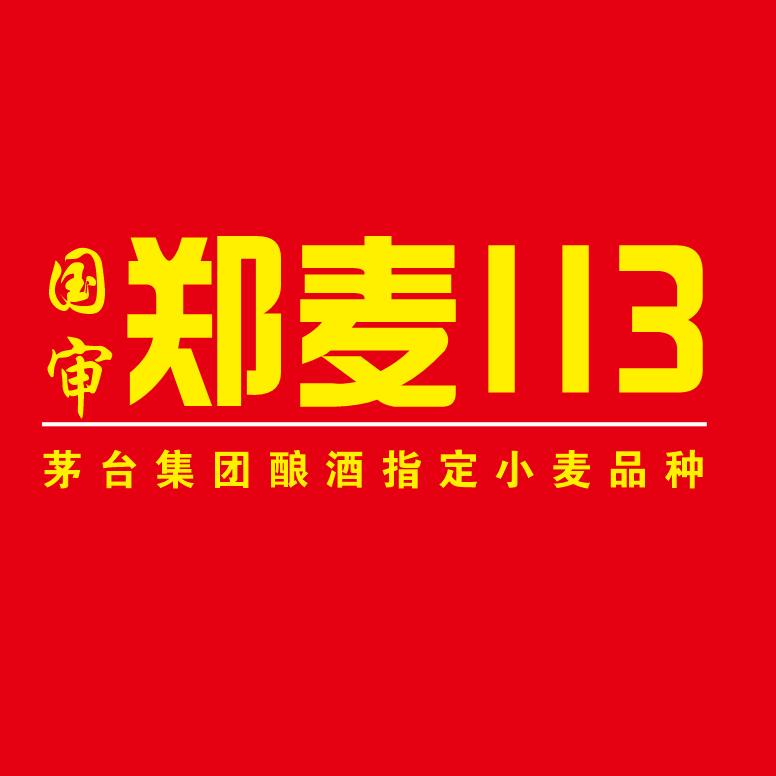 郑麦113
