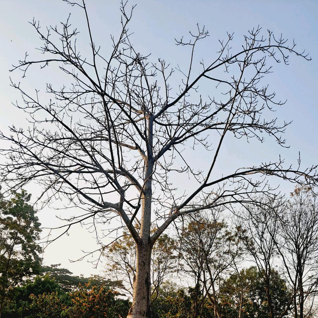 ٩(￥A￥)۶恭喜发财