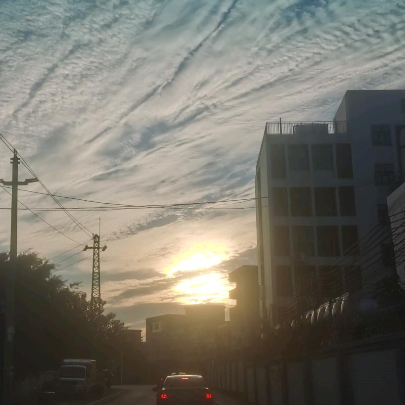 尔鱼我炸