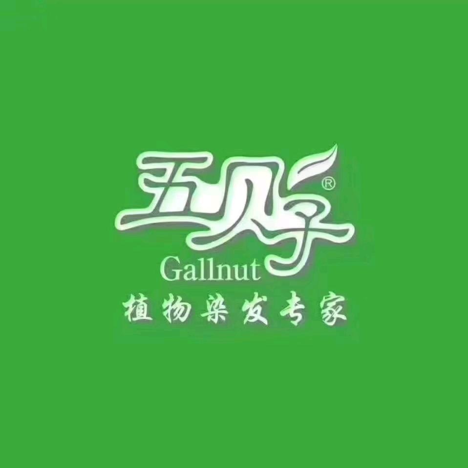 五贝子天然染发启航