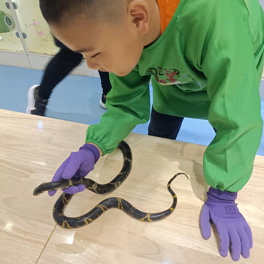 好奇号《报团取暖，有官必茴》