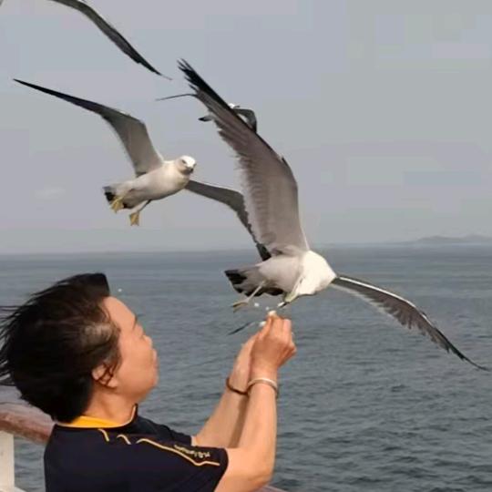 魏姐