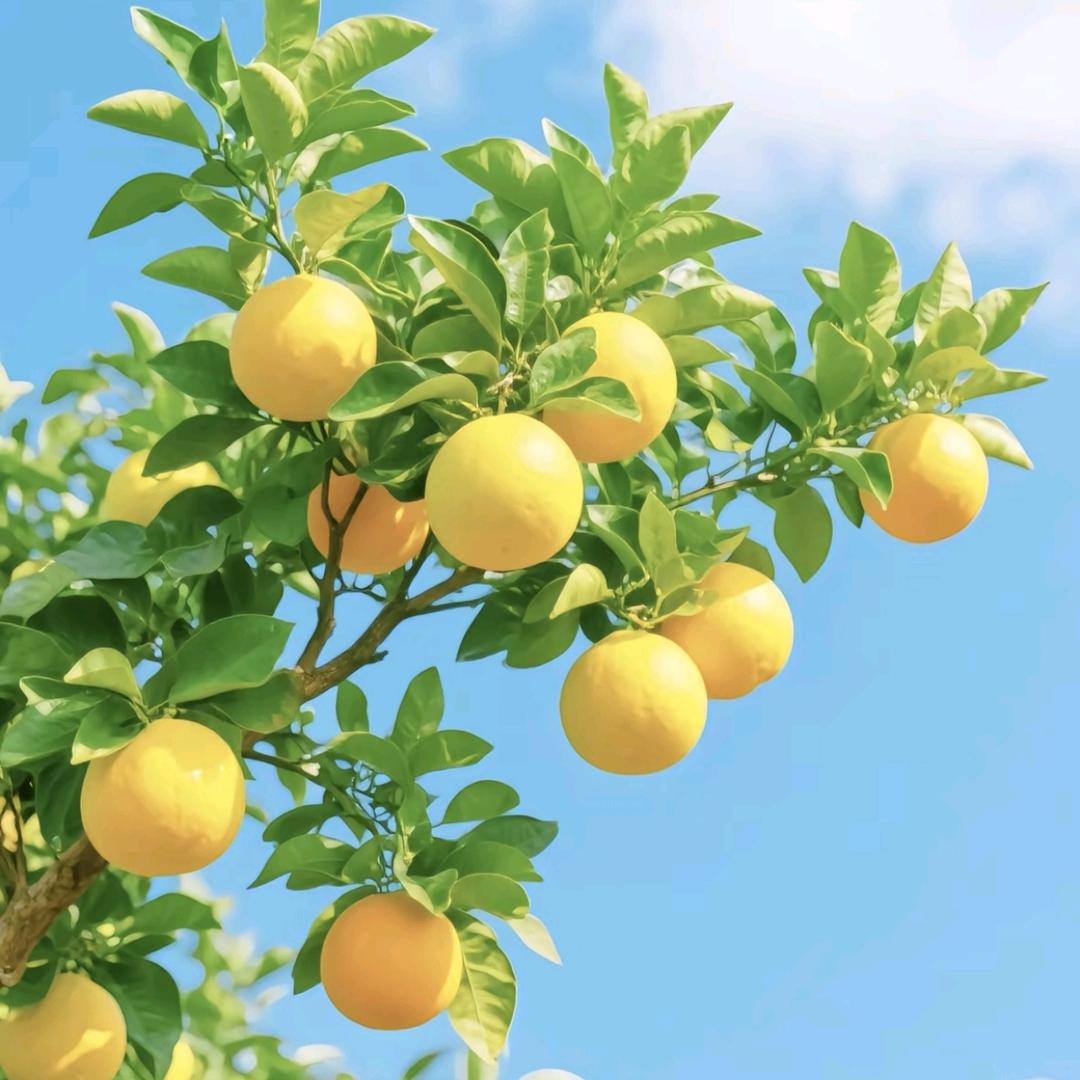 ℳঞᩚꦿ彬仔暖宝꧔ꦿ᭄:💕