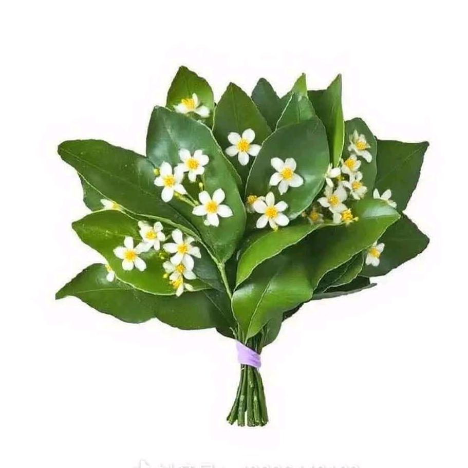 质感ଈ