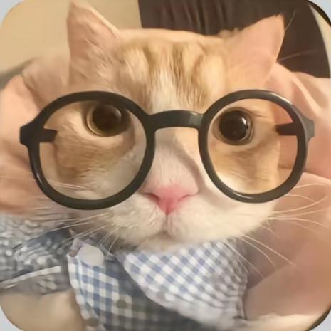 炫迈小子👨‍👩‍👧‍👧