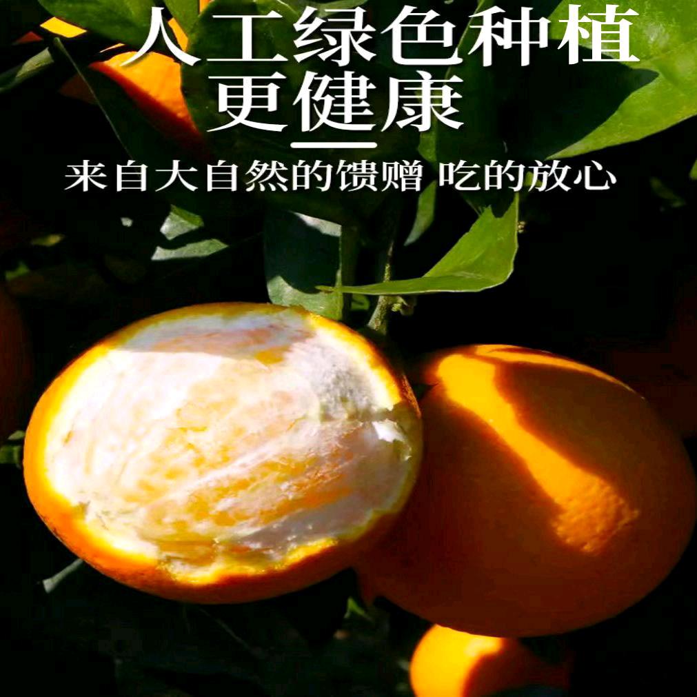 赣南脐橙亭子鲜橙店