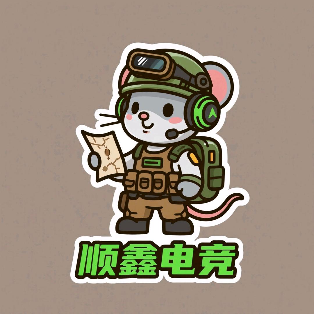顺鑫电竞（三角洲行动）