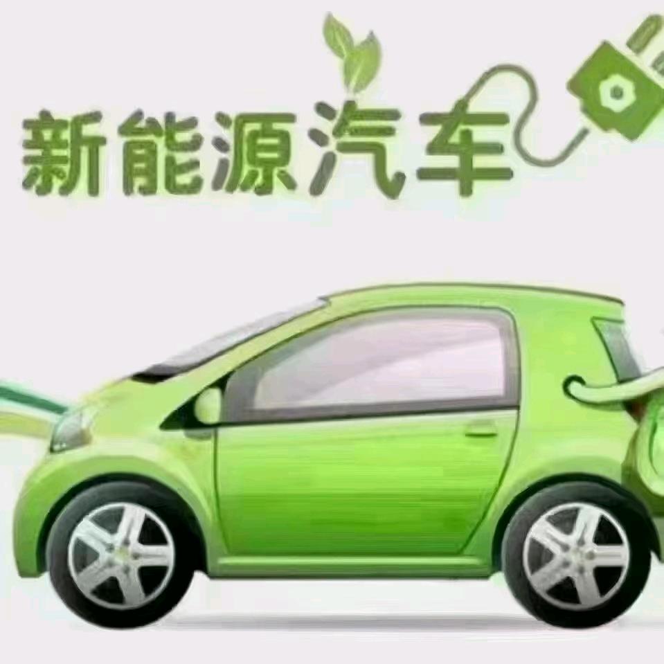 飞腾新能源二手车
