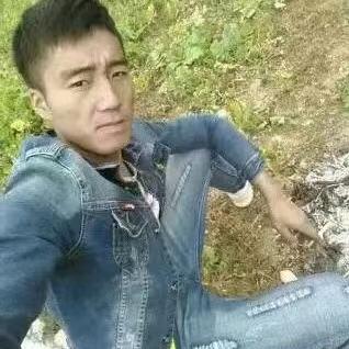 是程不是臣