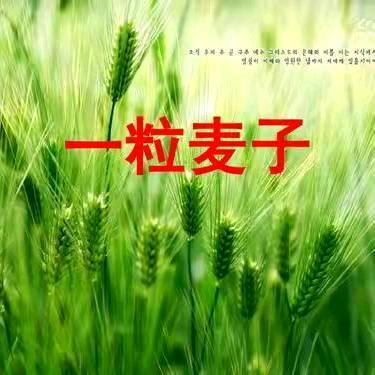 心语，❤️拒绝私聊