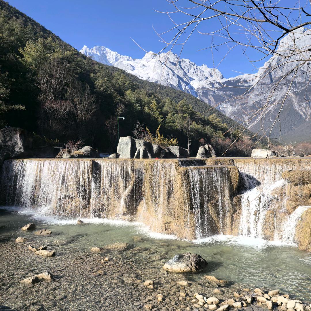 王树豪.