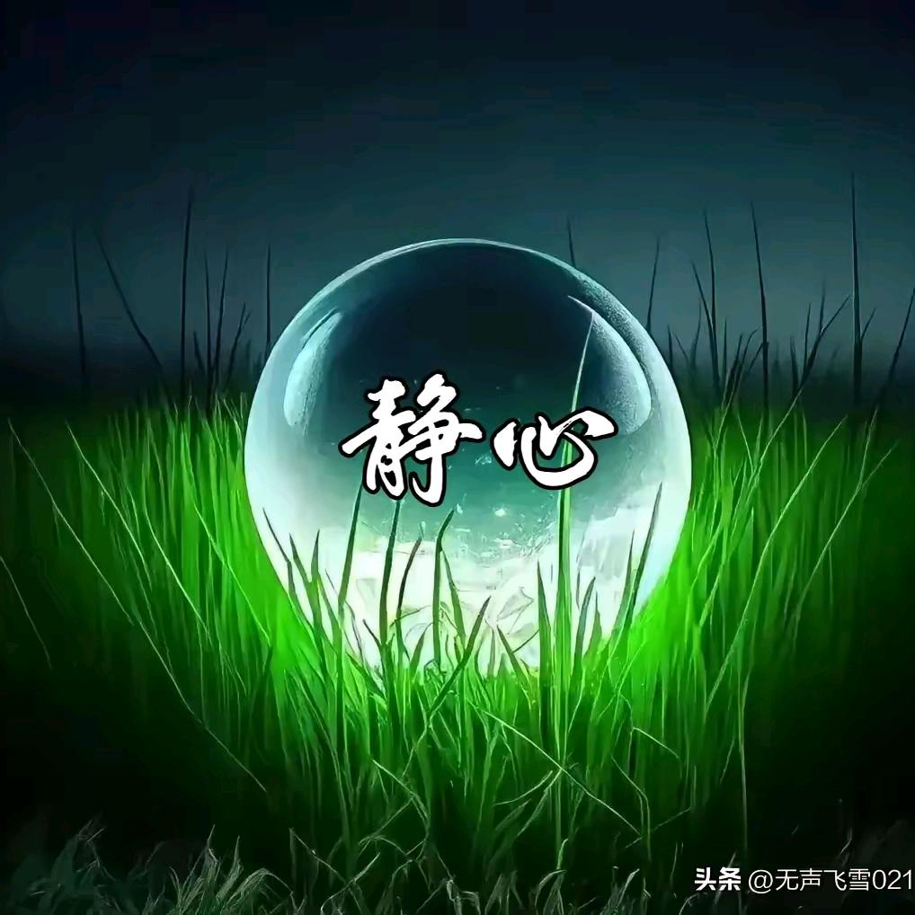 习惯了就好