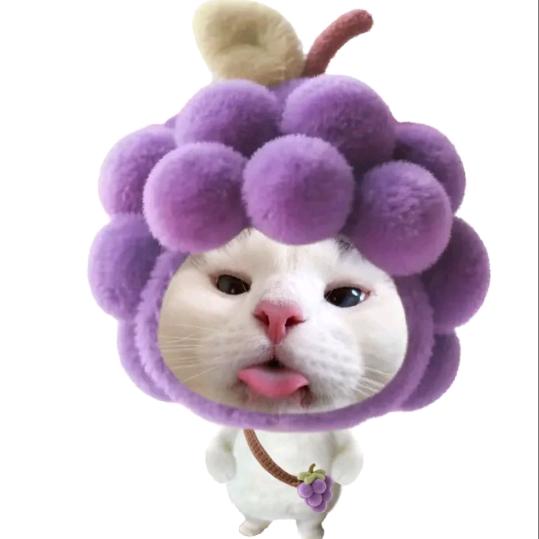 小猫双皮奶