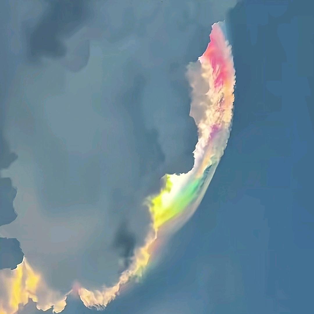 塵緣