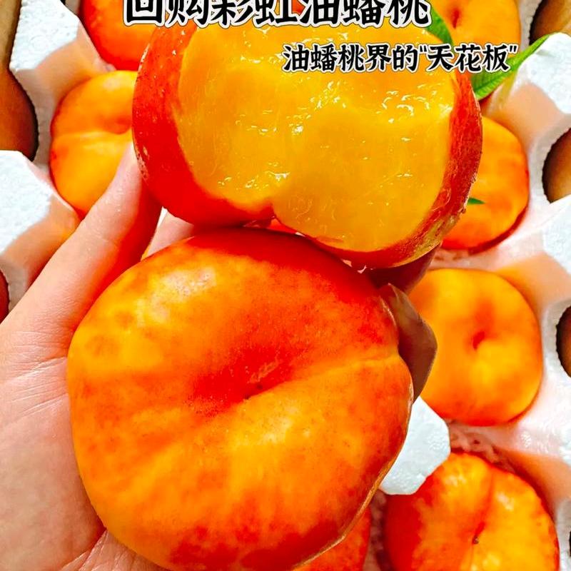 彩虹油蟠桃黄油桃产地直发(万能)