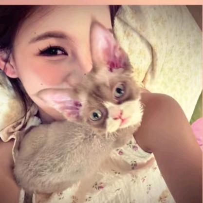 炎夏猫‍.