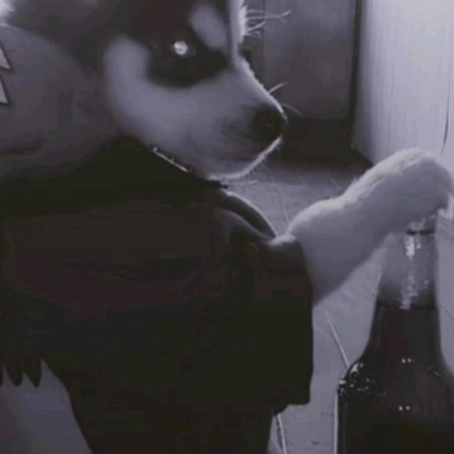 杨........