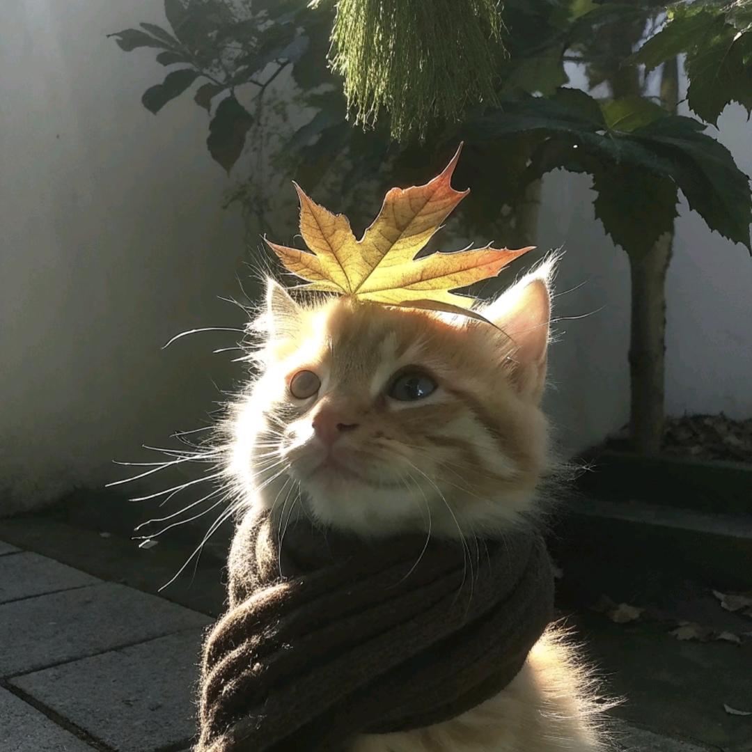 🌈易.