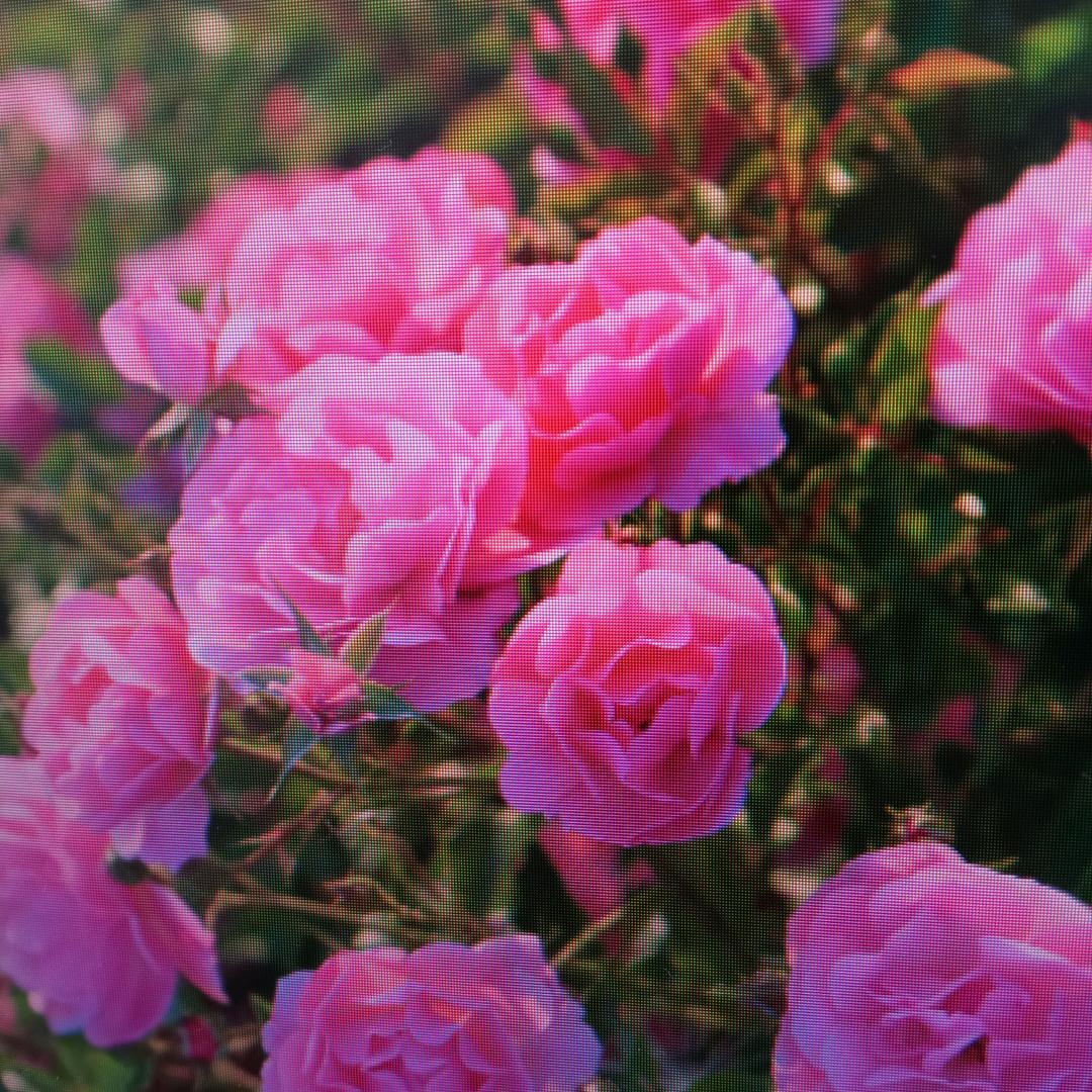 翠翠老师讲养生