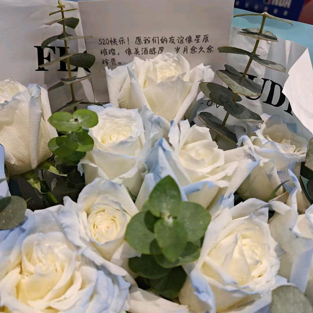 ¹⁹⁹⁴⁻₂₀₂₅ Ymāāāāāā.