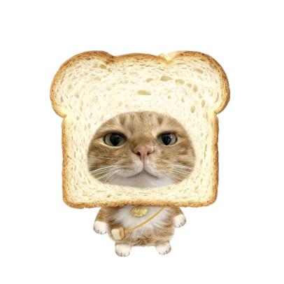 宇宙无敌超级大便便💩