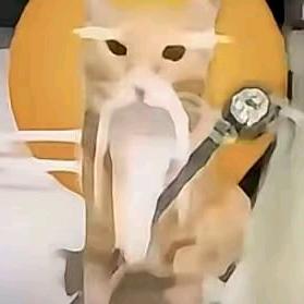 只相信自己