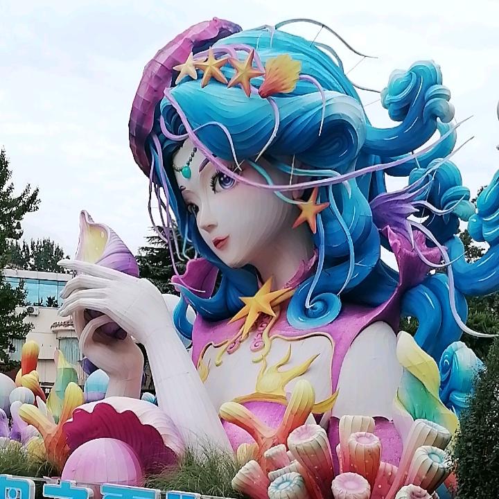 兰 花