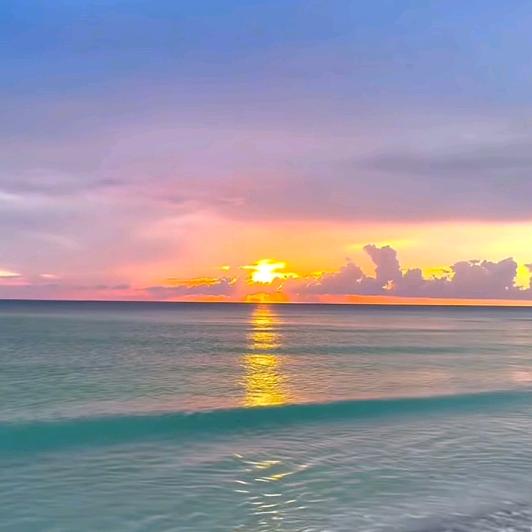 财神爷的小跟班