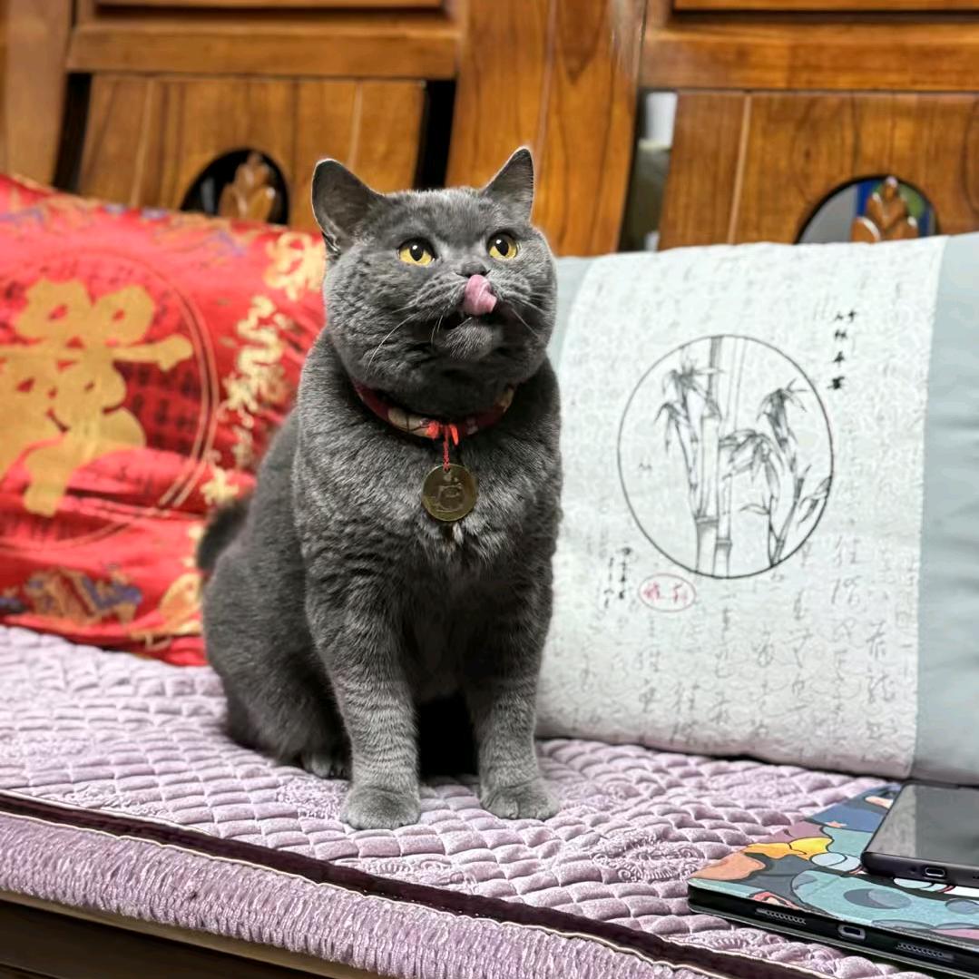 吕鑫🇨🇳（朵朵的姑姐）