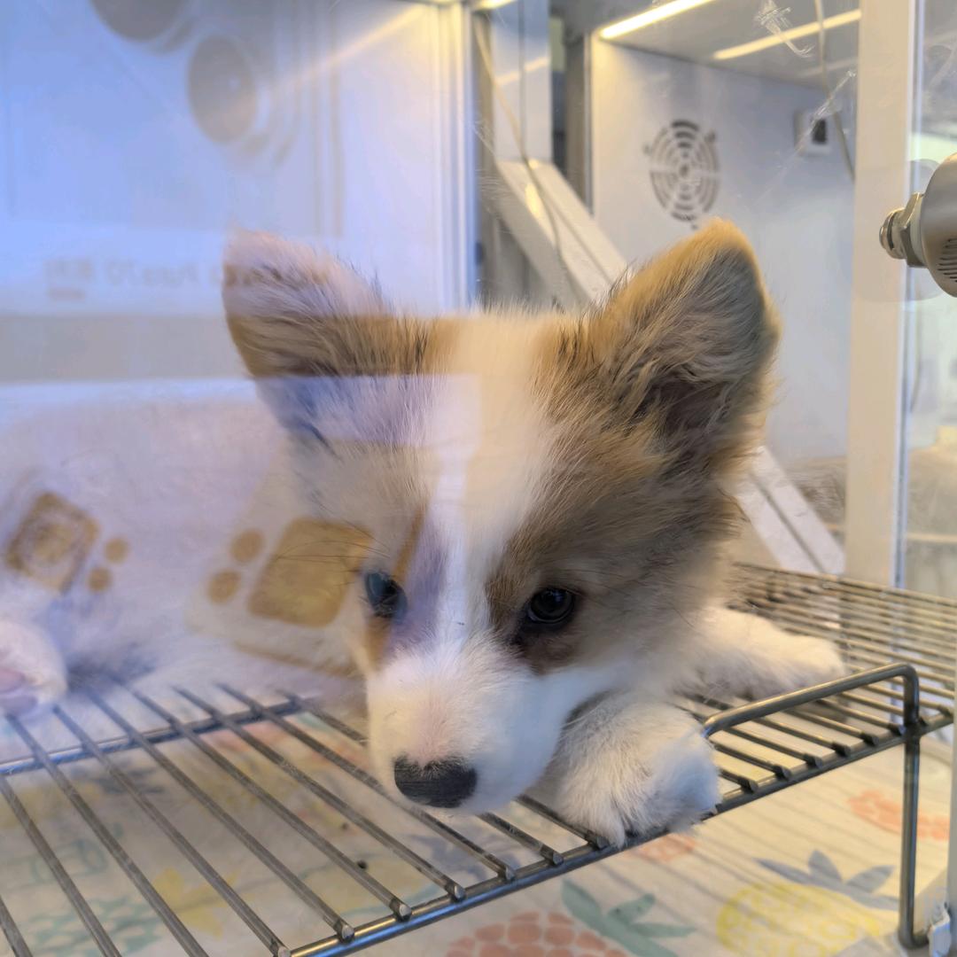 小熊🐻