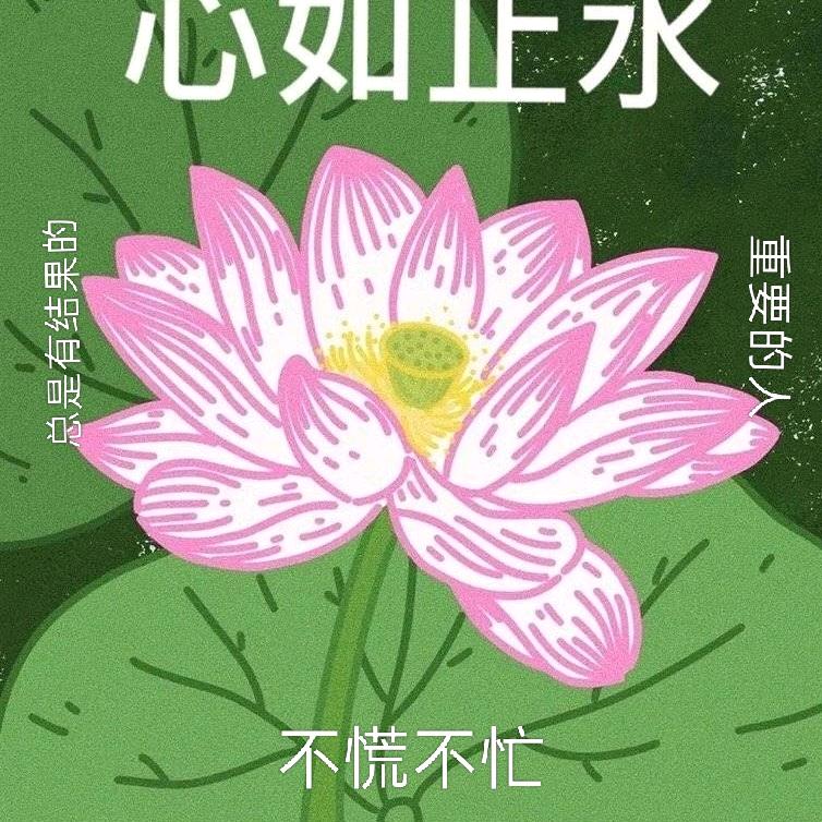 真的很纯粹呀!