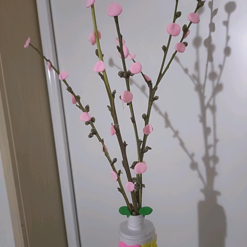 一只可爱的皮皮虾