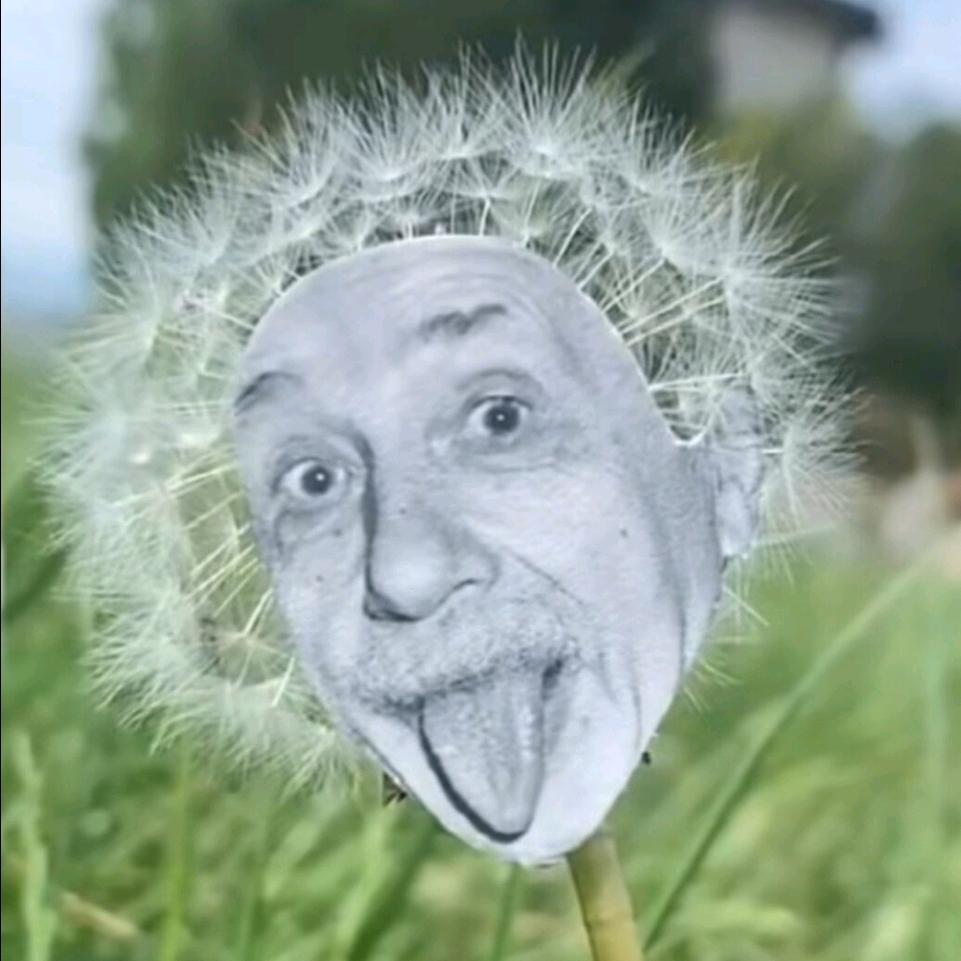 这下心情舒畅了