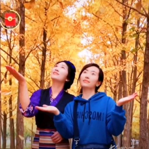 藏家姑娘