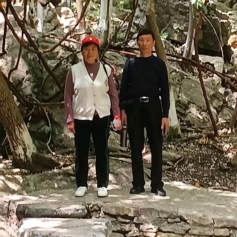 淡淡的茶香