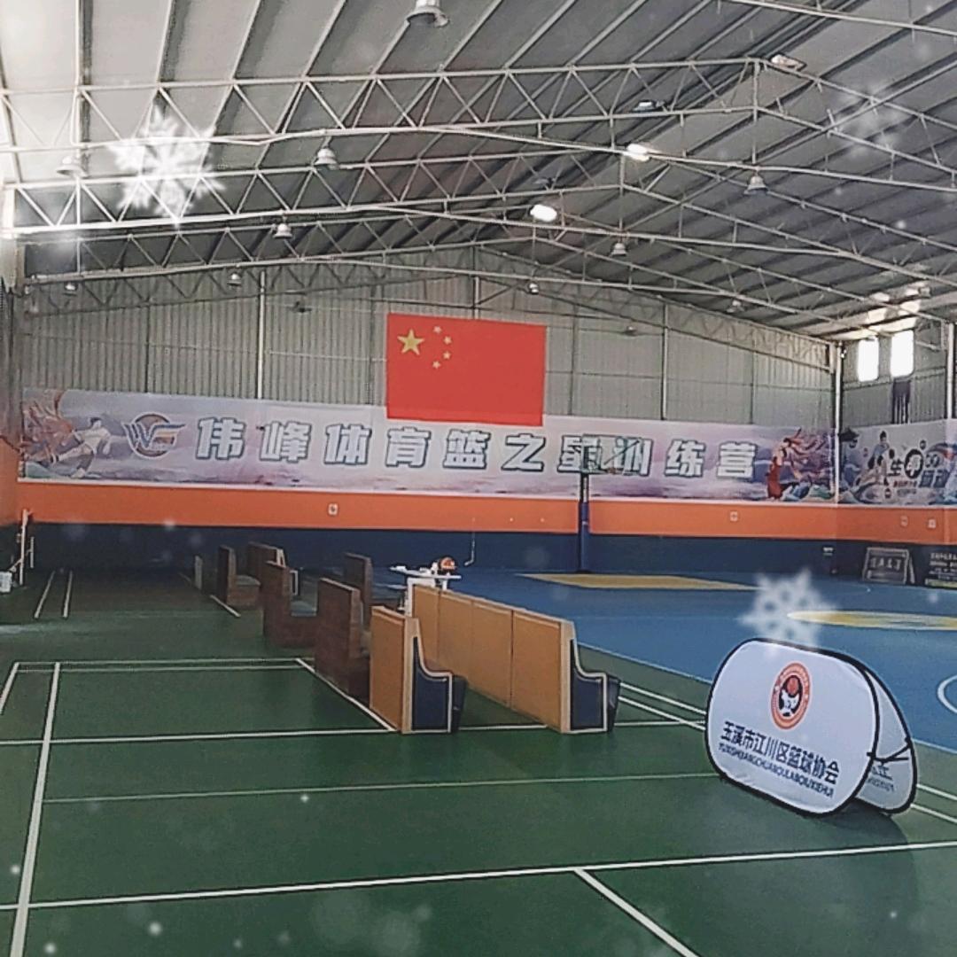 伟峰体育篮之星训练营