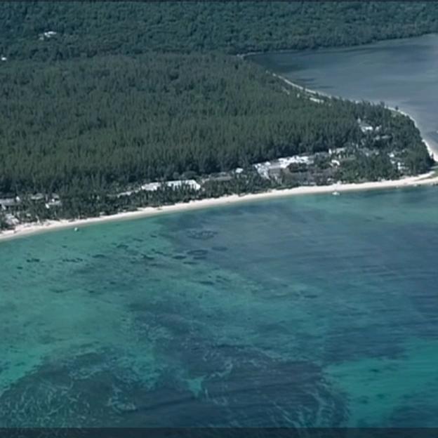 明月🎵经典怀旧老歌