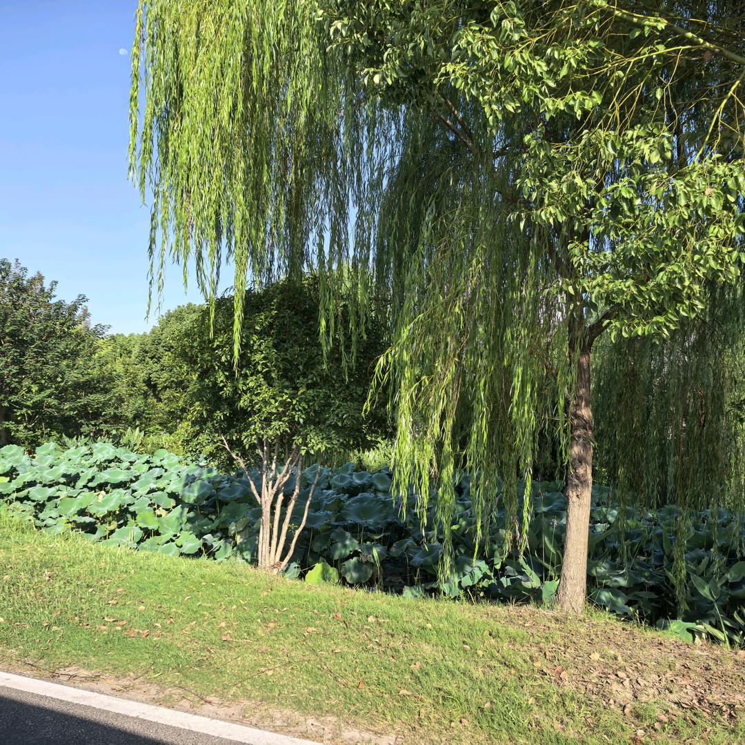 防护罩  排屑机  拖链-昆嘉机械