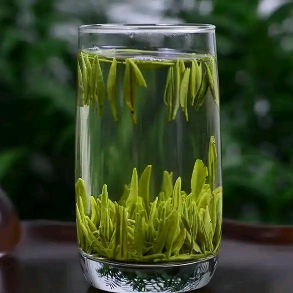 舌尖赋野生信阳毛尖