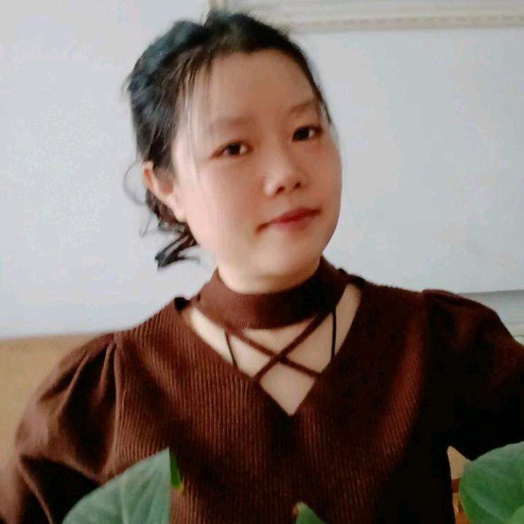 飞鸽